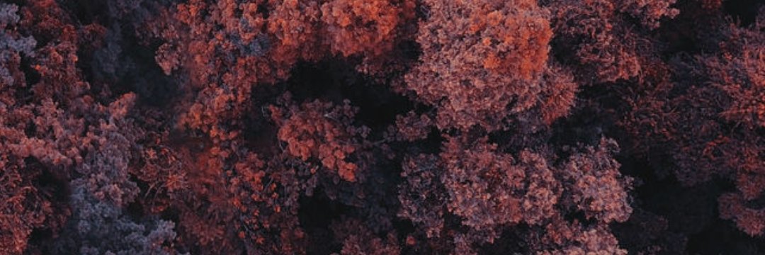 itzhelii's profile banner image