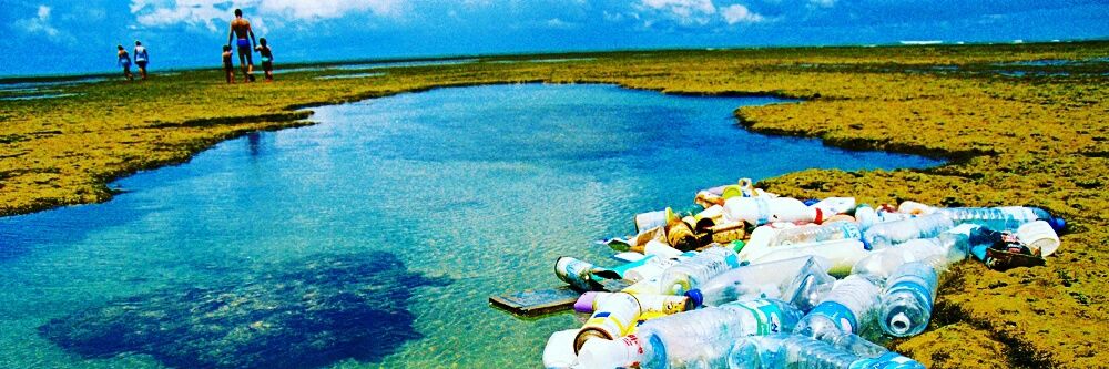 Global Garbage banner