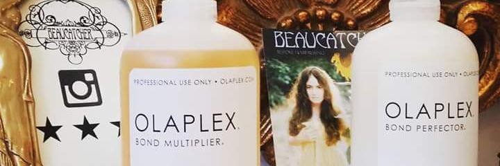 beaucatcher's profile banner image