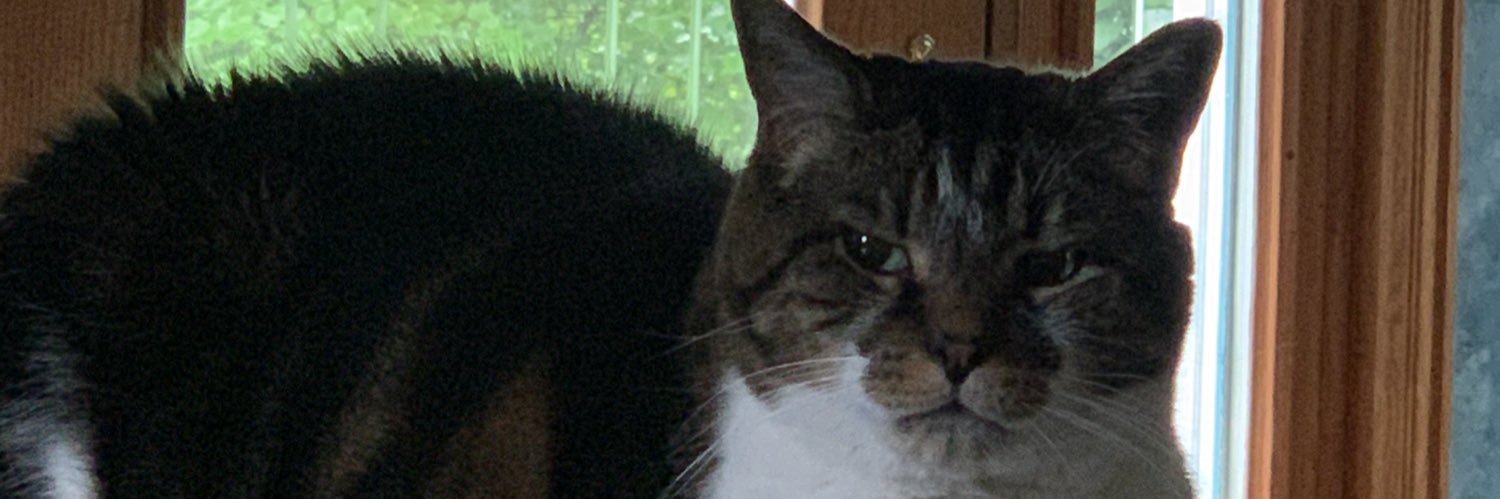beewhole's profile banner image