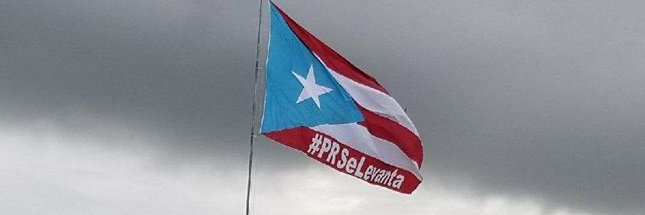 Maritza Davila banner