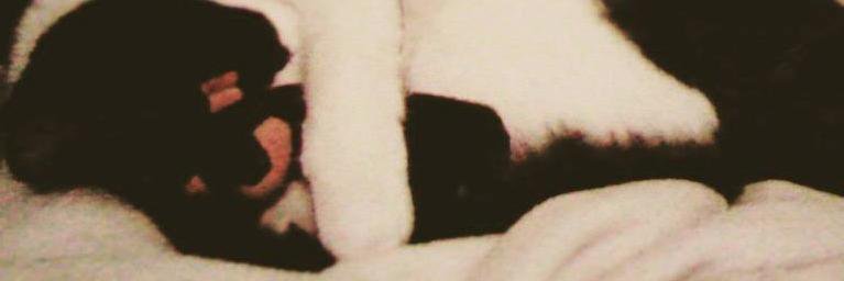 RMFrustrada's profile banner image