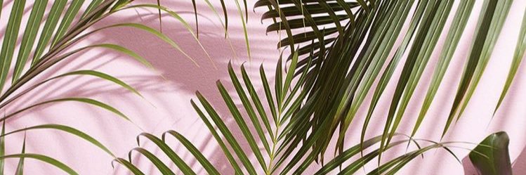 algf's profile banner image