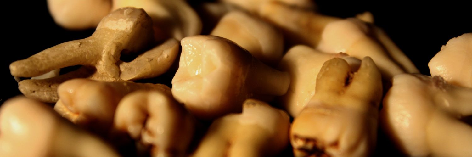 scaredy_kit's profile banner image