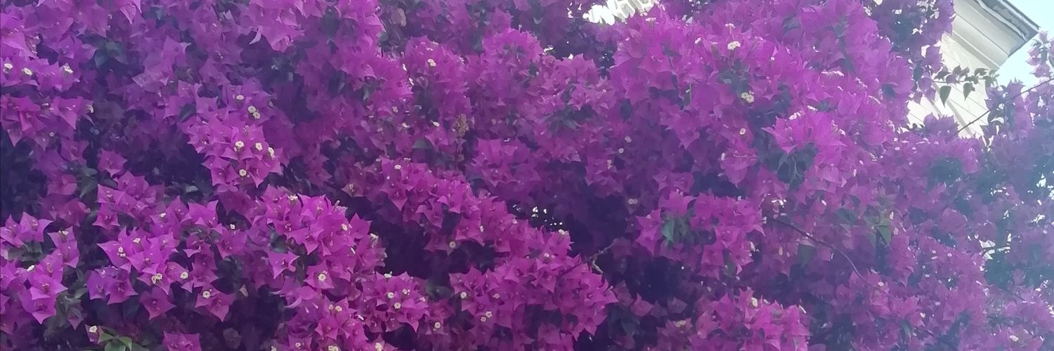 OKebabc's profile banner image