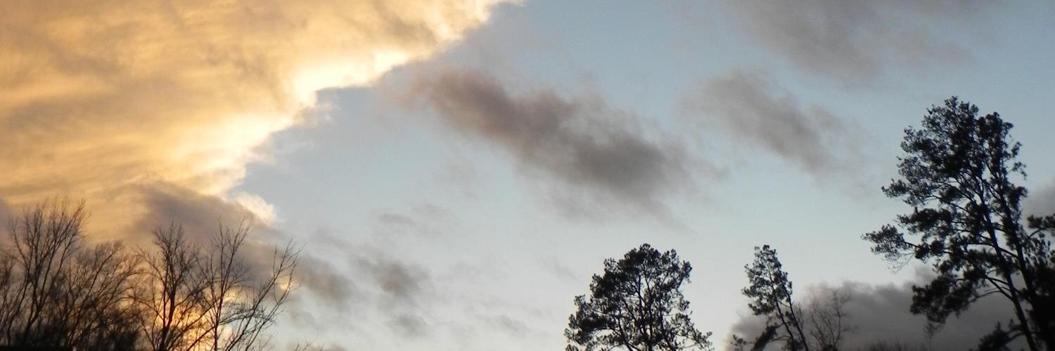 mandasweirdo's profile banner image