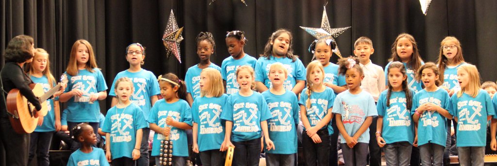 Camille DiTusa banner