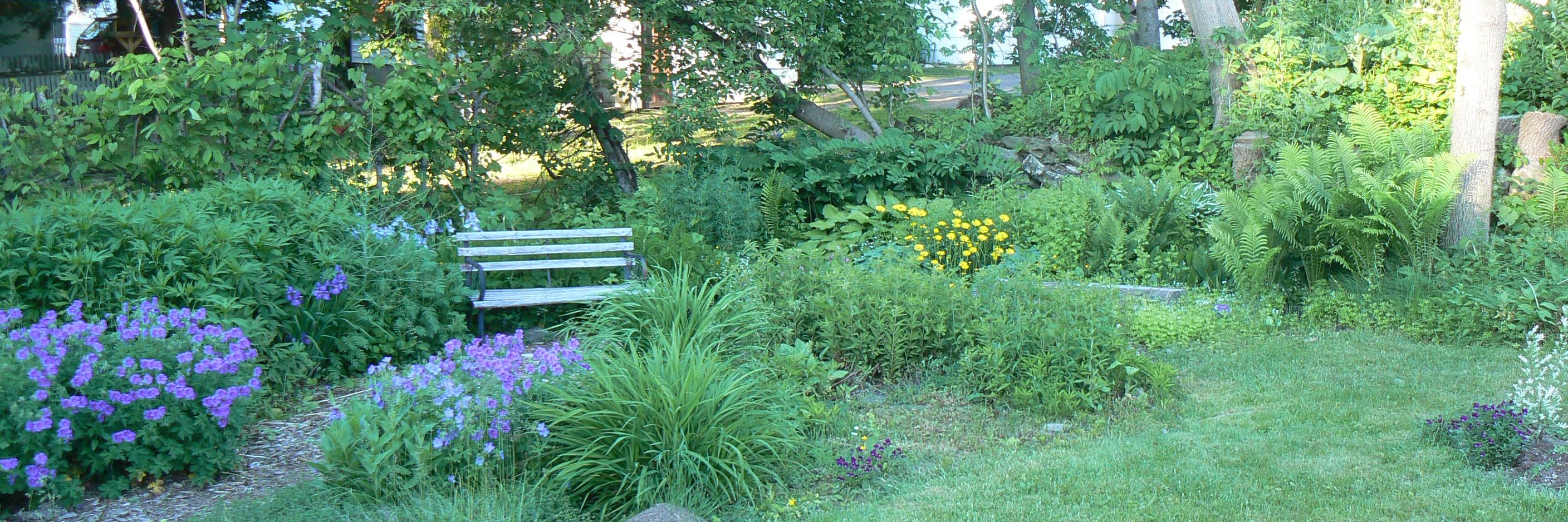 robertso_a's profile banner image