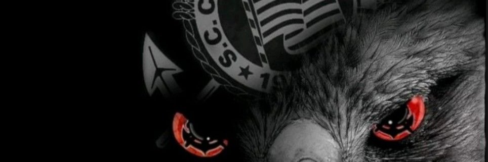 luiz carlos navarro banner