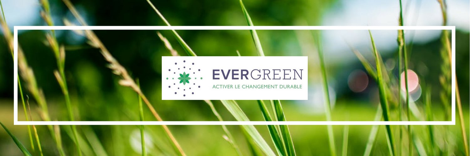 EverGreen_FR's profile banner image