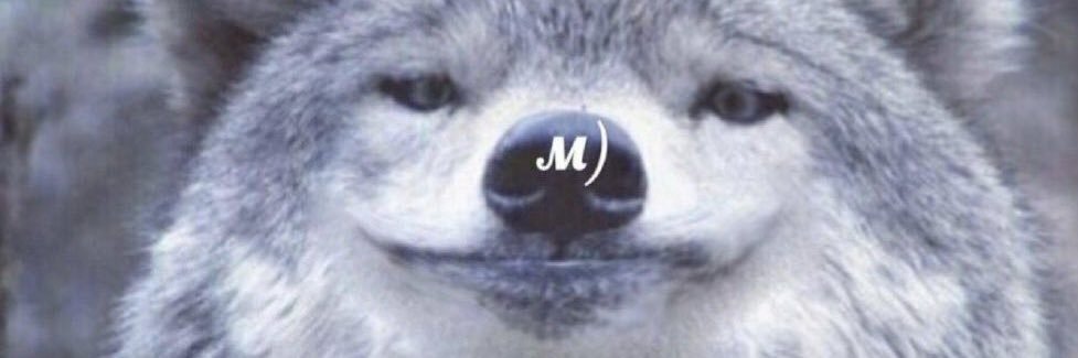 sscops_owl's profile banner image