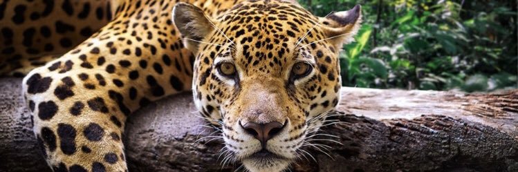 Fidelito0331's profile banner image