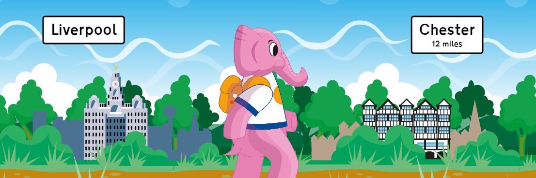 Brad the Elephant banner