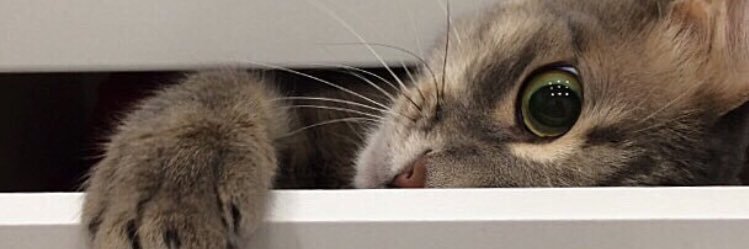 zelalkocabeyy's profile banner image