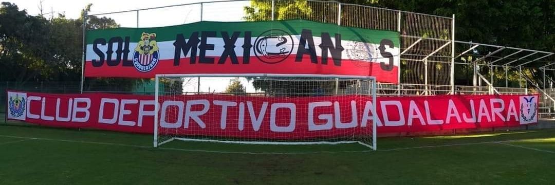 elizabethcarpinteyro banner
