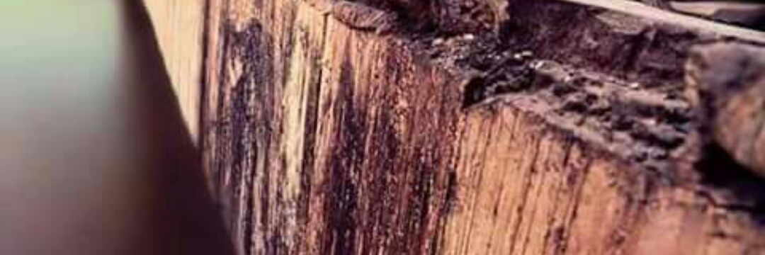 saadk4560's profile banner image