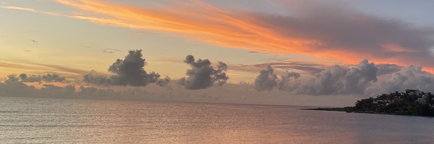 monicabroder's profile banner image