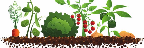 MSM2GardenClub's profile banner image