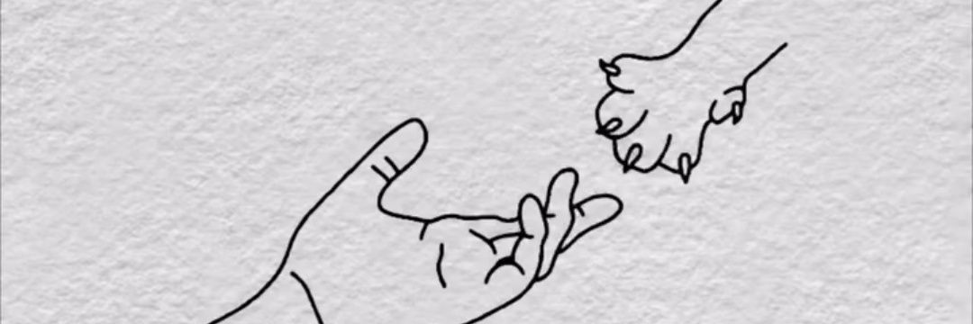 defesucre's profile banner image