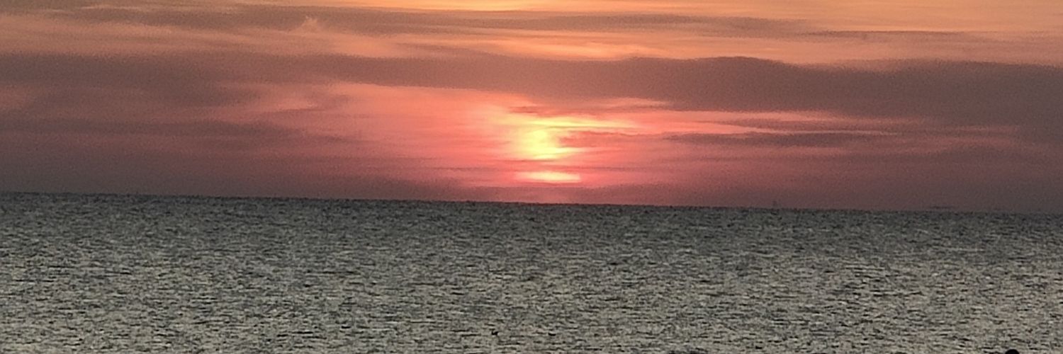 robpsaraujo's profile banner image
