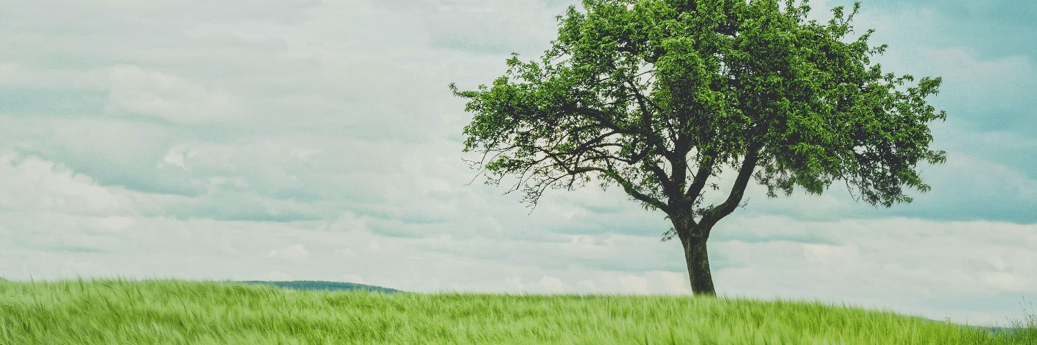 ItamarShatz's profile banner image