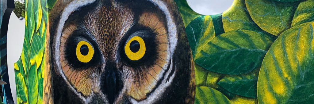 JewartSheilah's profile banner image