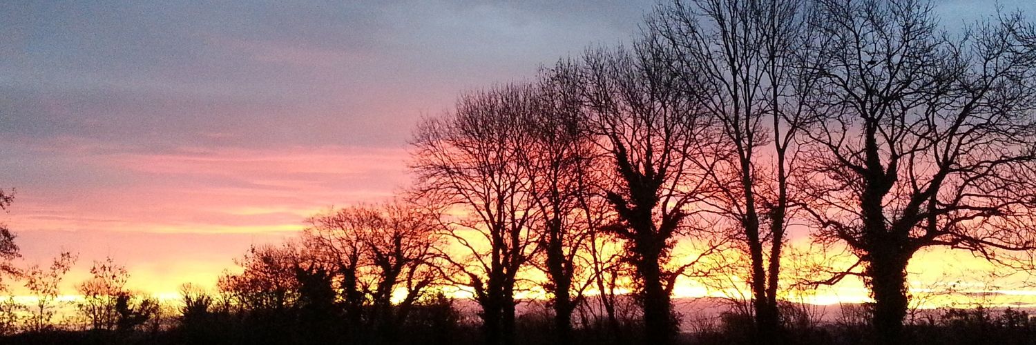 jo_keeffe's profile banner image