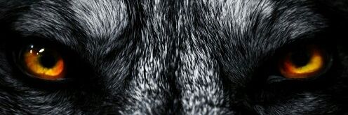La_BronSA's profile banner image