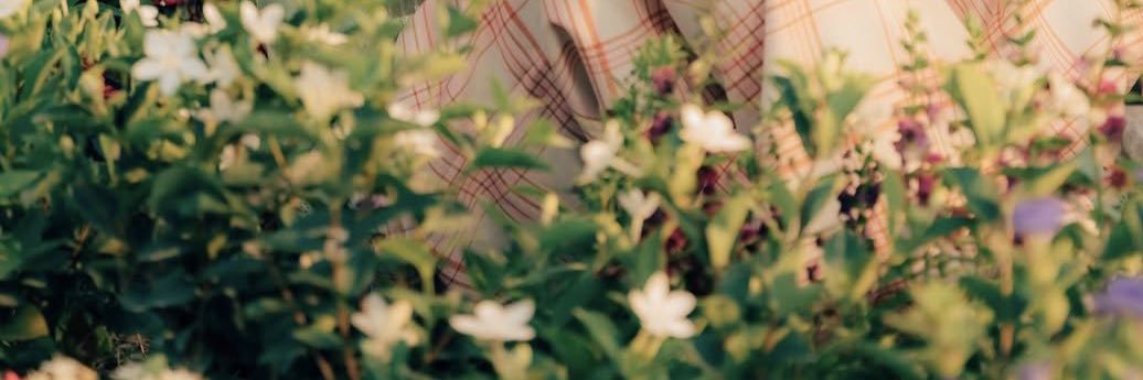 🖼タラ子🖼 banner