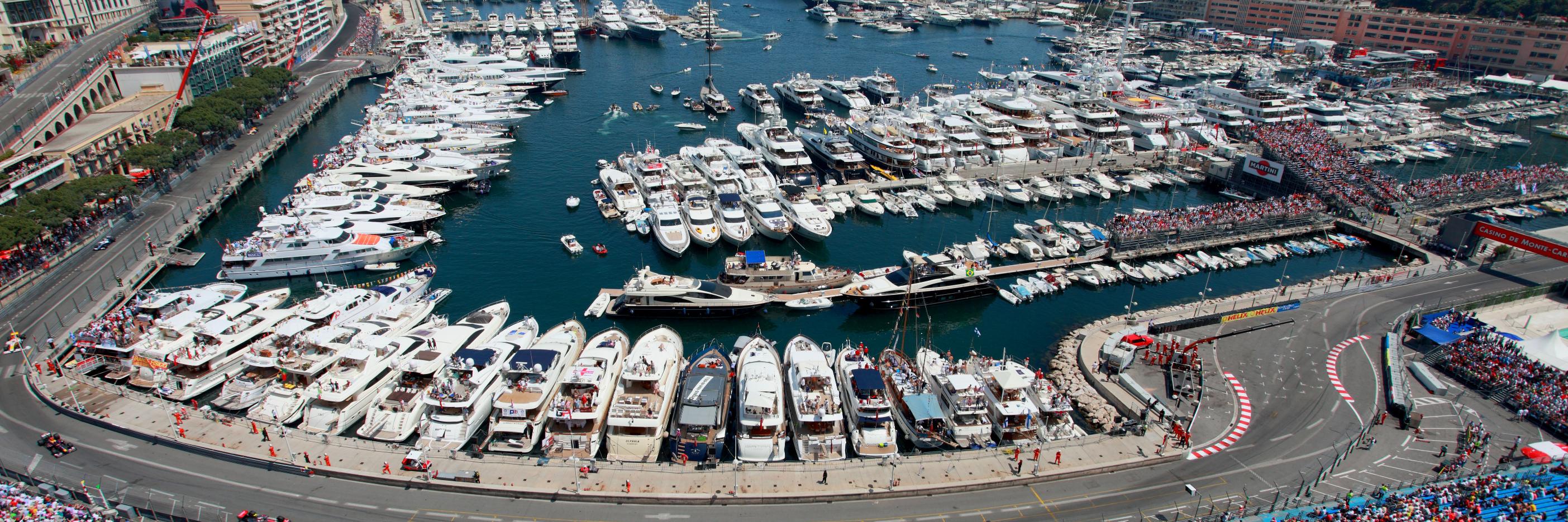 Coltan 🏴‍☠️🇦🇺🇬🇧🇺🇸 banner