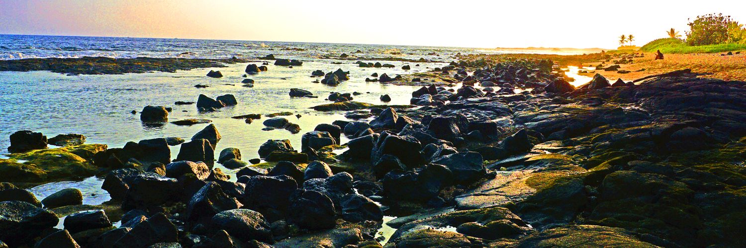 KGator11's profile banner image