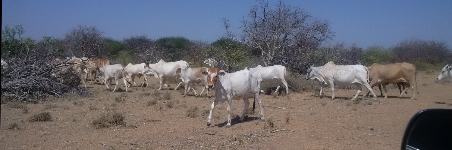 Shaleabdi1's profile banner image