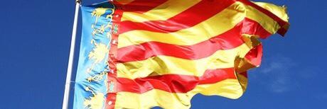 elflores52's profile banner image