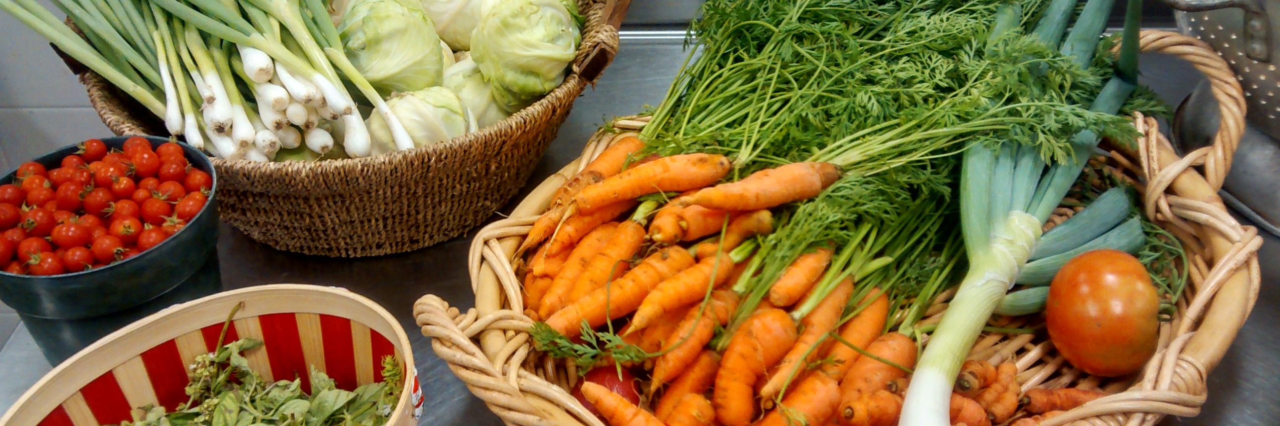 SchoolLunchSCS's profile banner image
