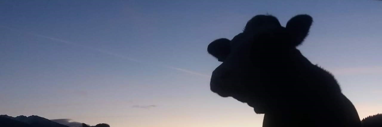 Birgit Gredler banner