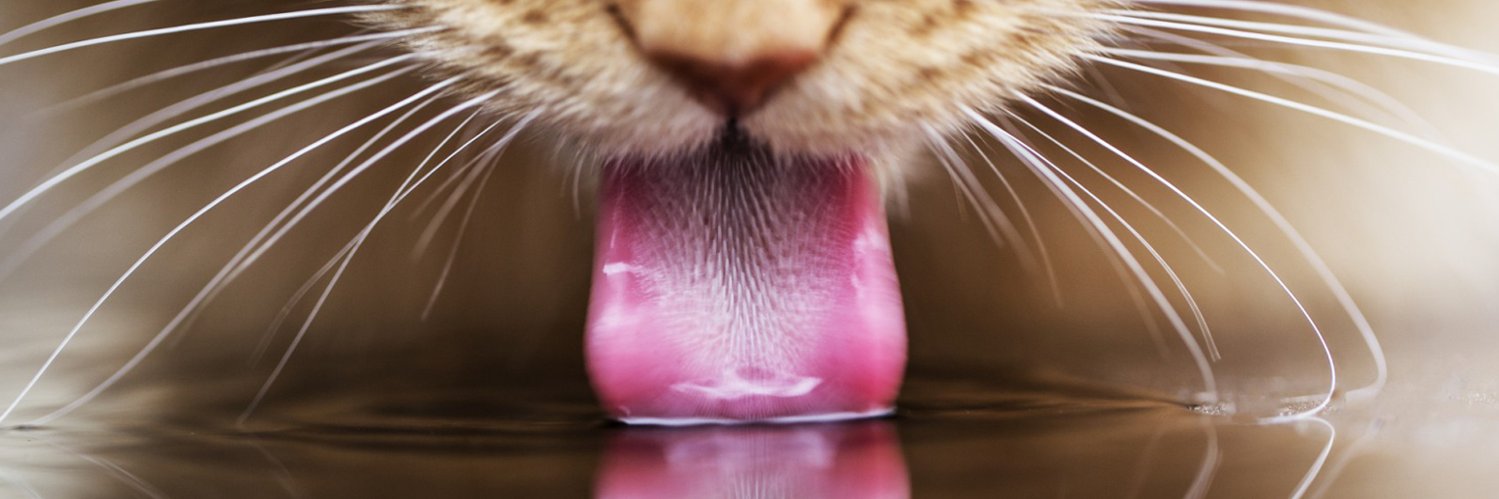 verythirsty's profile banner image