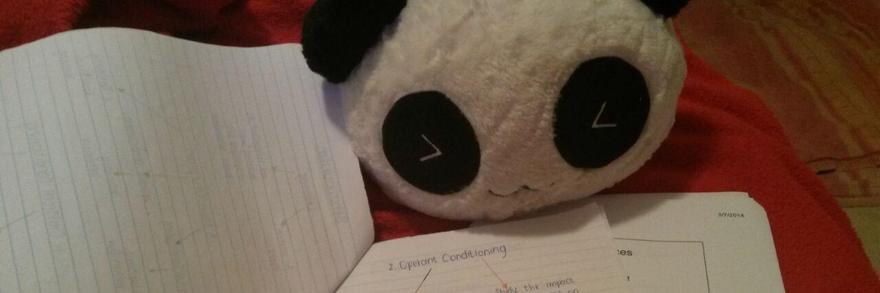 Rotaract Stellies banner