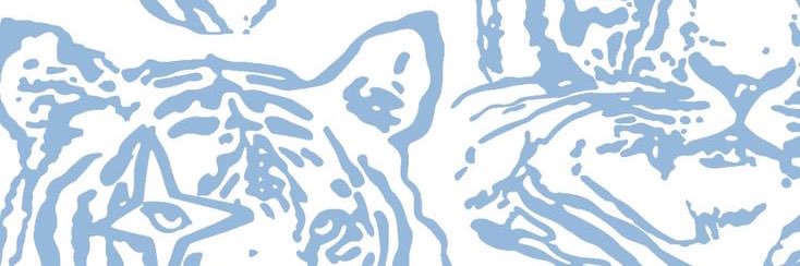 _senglish's profile banner image