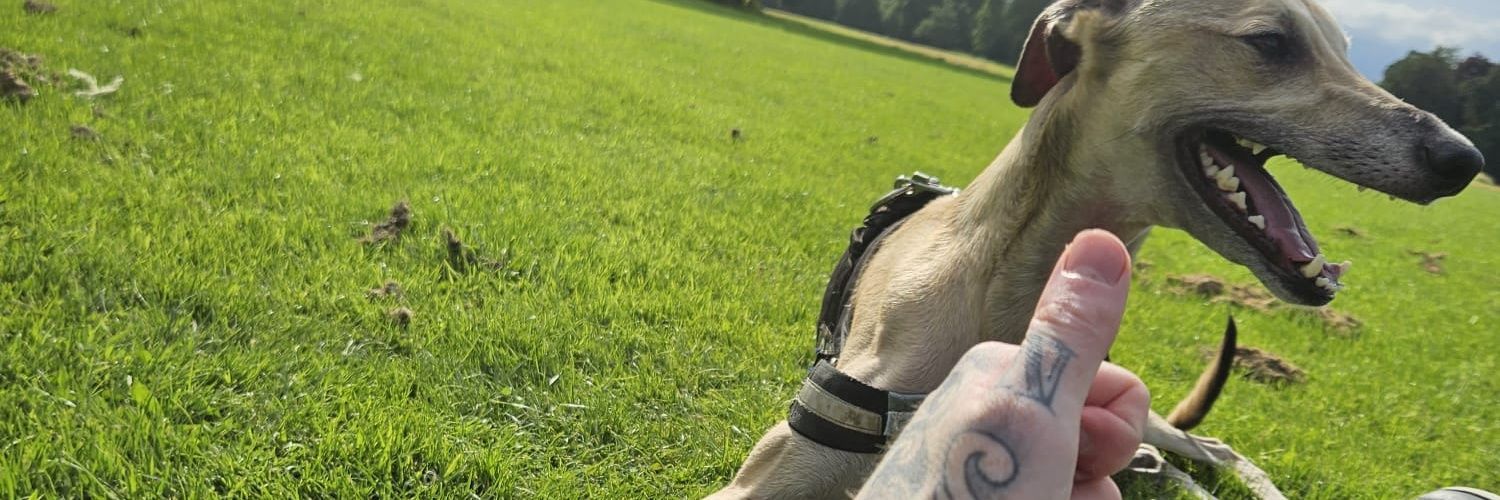 APoxyDubliner's profile banner image