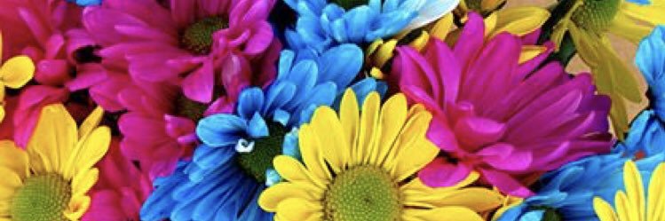 mccartney2grade's profile banner image