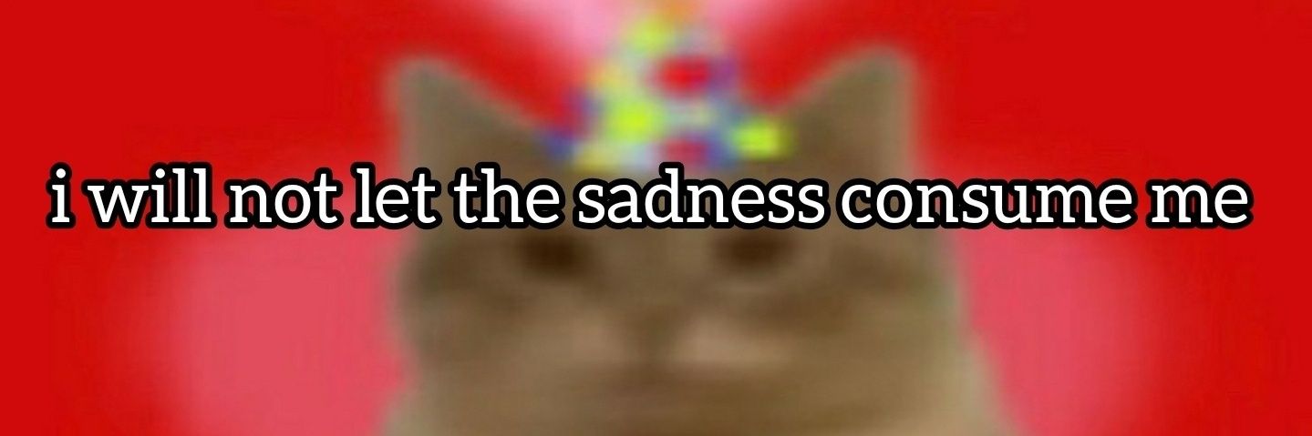 holstercat's profile banner image