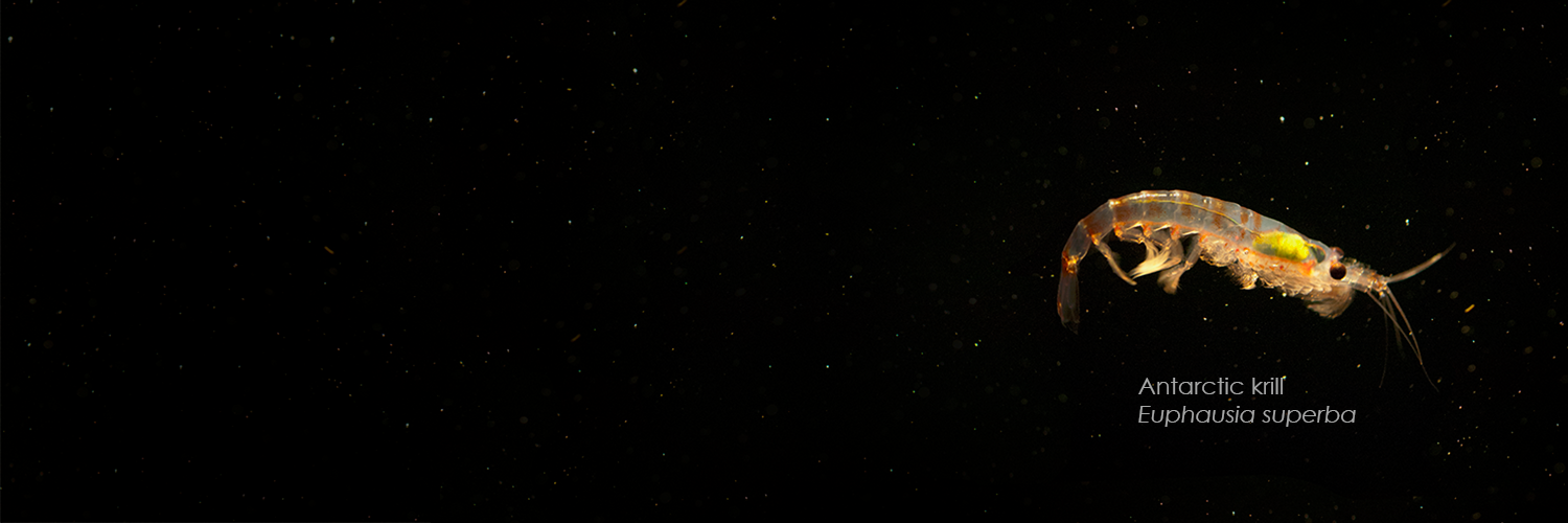 Antarctic CRC banner