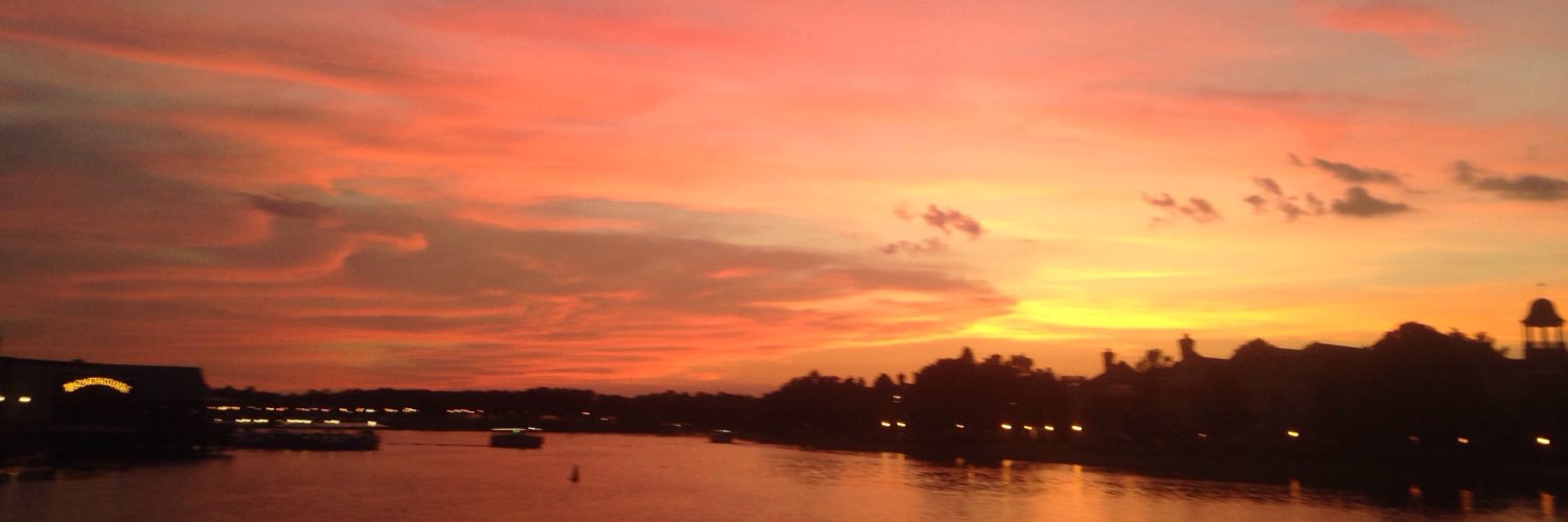 zoe_steen's profile banner image