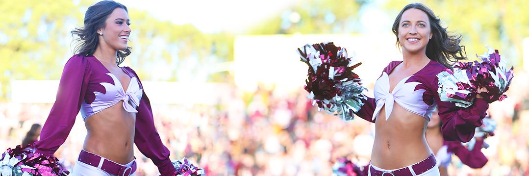 MSeabirds's profile banner image
