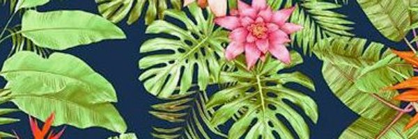 LouOLeary Profile Banner