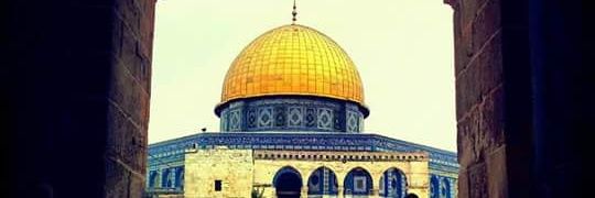 Ma7moudHamza2's profile banner image