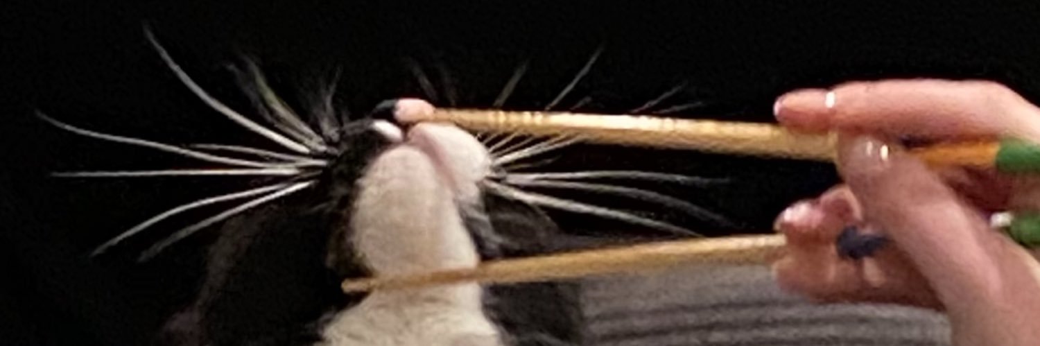 elenn_rr's profile banner image