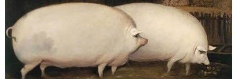 TrasonFirkins's profile banner image