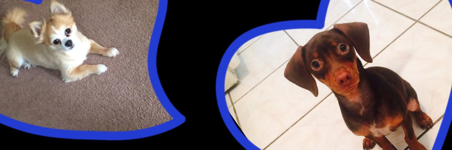 98MonicaG's profile banner image