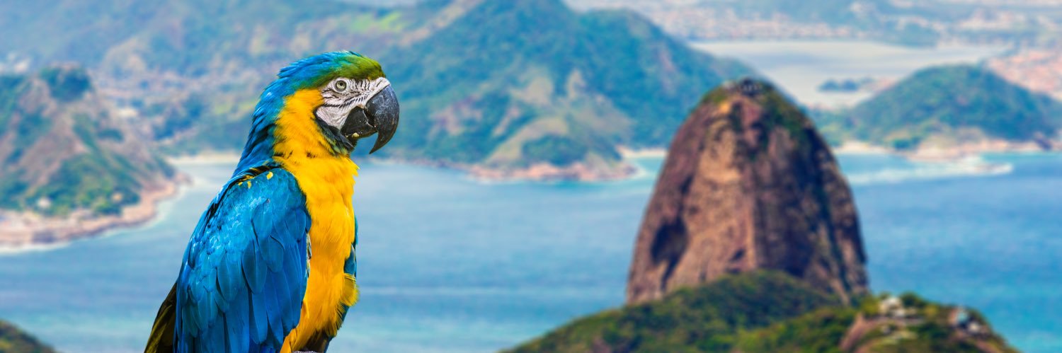 yeswaa's profile banner image